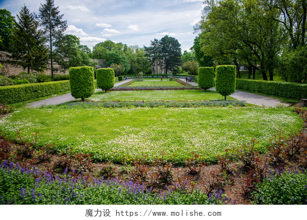 城市花园绿色景观在布拉格的公园